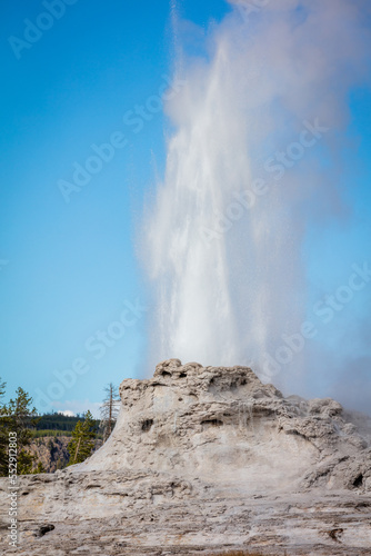 The Castle geyser at Yellowstone National Park