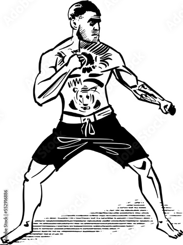 vector illustration of the MMA ultimate fighter