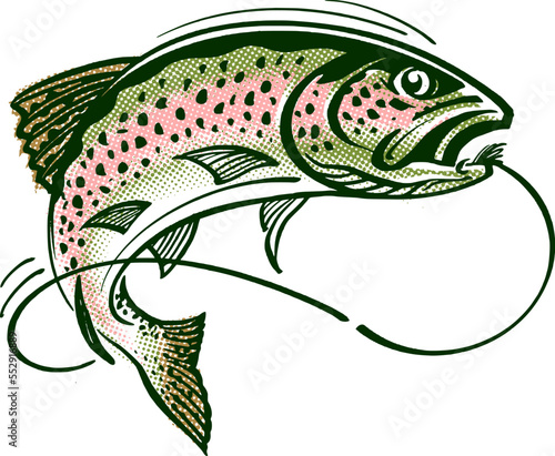 trout vector illustration