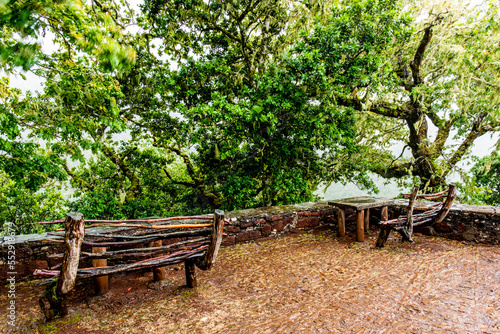 2022 08 17 Madeira wooden bench