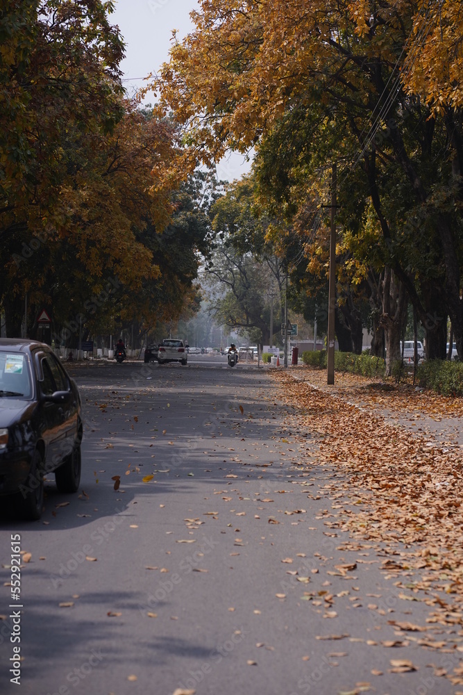 man with long hair in fall season