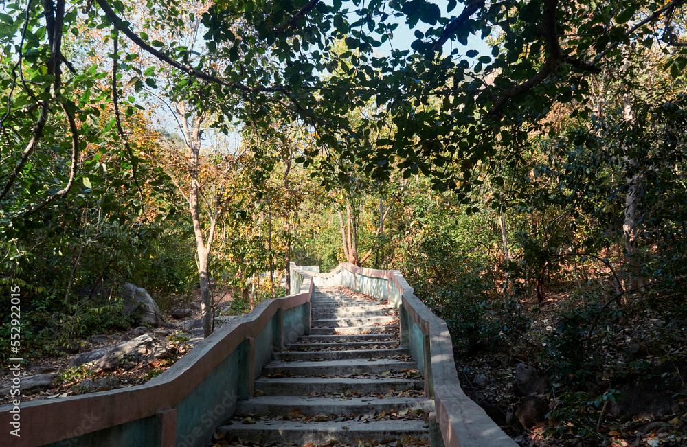 Concrete stairs leading to hilltop at Purulia (Jungle Mahals) district, through deciduous forest of Shorea robusta. Combination of hills and sal tree forests make this place a travel destination. Concrete stairs leading to hilltop at Purulia (Jungle Mahals) district, through deciduous forest of Shorea robusta. Combination of hills and sal tree forests make this place a travel destination.