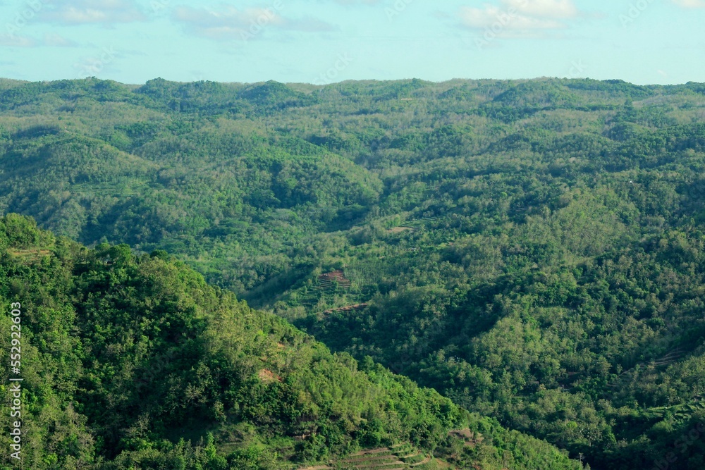 Fototapeta premium Landscape of Green Forest Hills in Indonesia