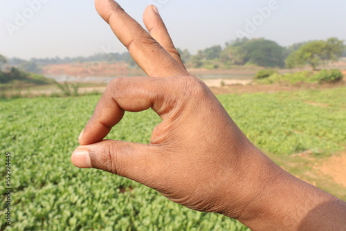 Gesture with finger on radish farm © CMYK MAKER