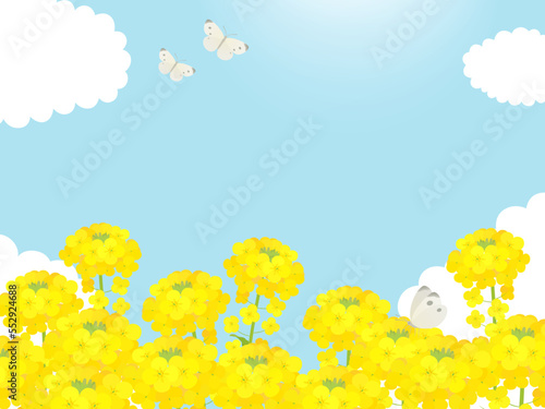 菜の花の咲く風景_背景フレーム_ベクターイラスト