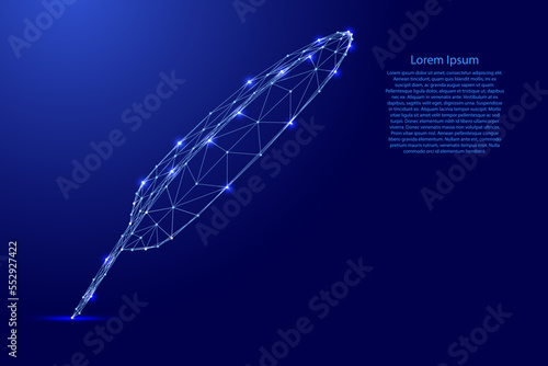 Bird feather pen, writing education concept, from futuristic polygonal blue lines and glowing stars for banner, poster, greeting card. Low poly concept. Vector illustration.
