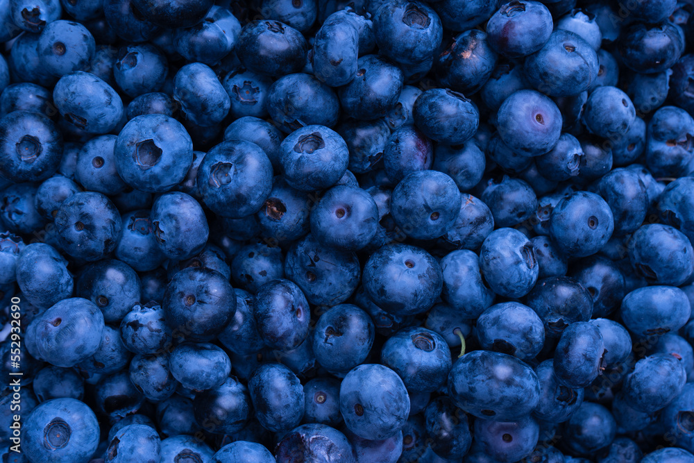 Fresh blueberry background. Texture blueberry berries close up. Fresh blueberry background. Texture blueberry berries close up.