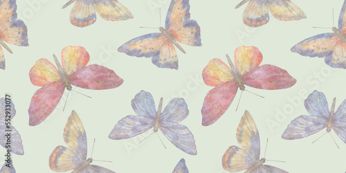 watercolor butterflies  seamless pattern for design  Abstraction botanical  colorful background.