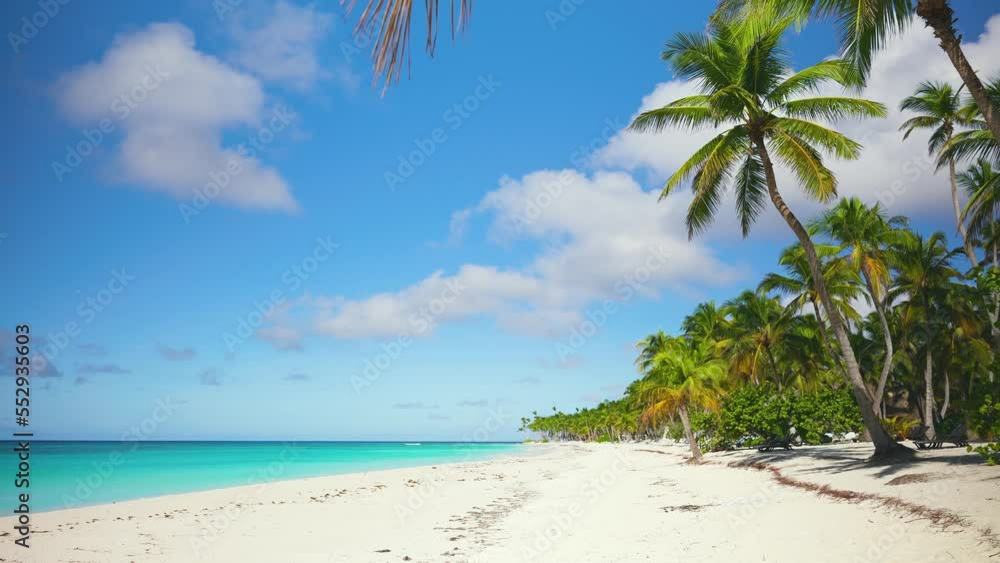 Landscape of the sunny Caribbean Peninsula with coconut trees and white warm sand. Turquoise sea waves crash into the sand. Bright palm trees on an exotic beach. Travel to tropical paradise. Landscape of the sunny Caribbean Peninsula with coconut trees and white warm sand. Turquoise sea waves crash into the sand. Bright palm trees on an exotic beach. Travel to tropical paradise.