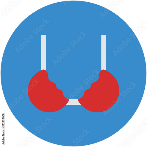 Bra