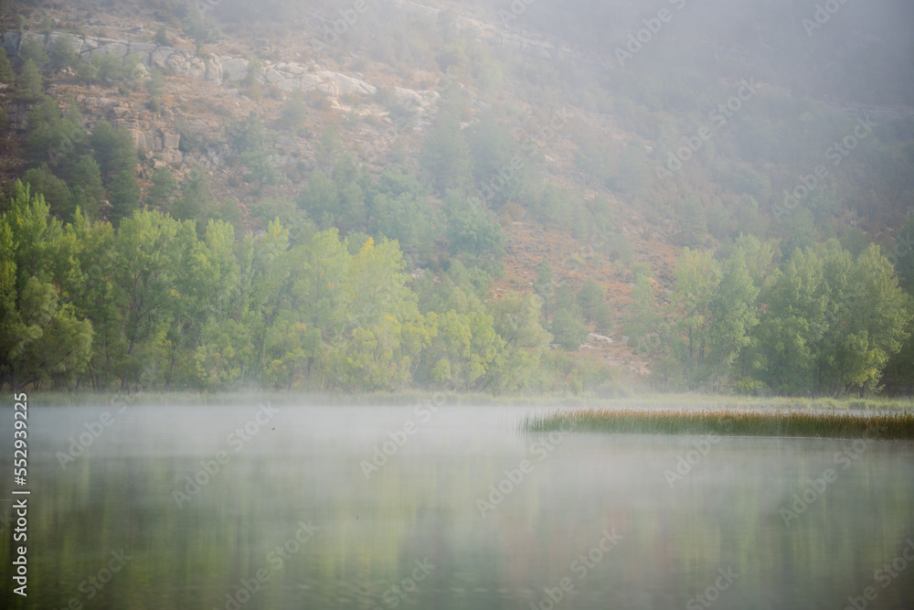 Idyllic landscape about a lake with some fog and surrounded by green trees Idyllic landscape about a lake with some fog and surrounded by green trees
