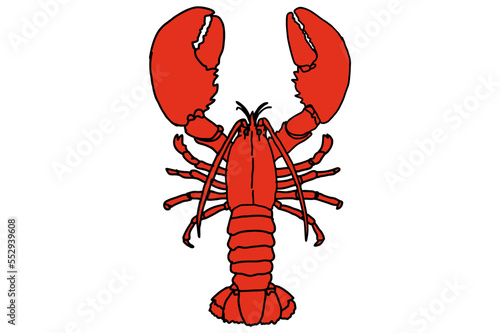 Big Red Lobster