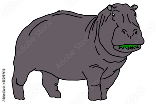 Big hippopotamus