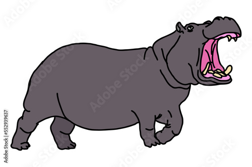 Big hippopotamus