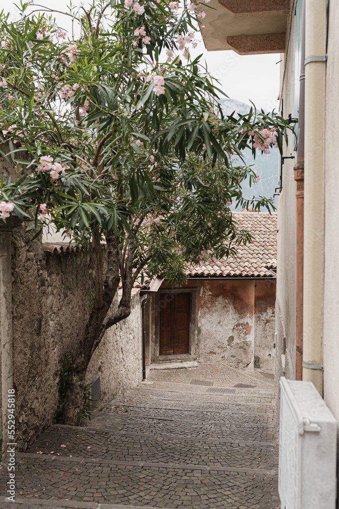 Obraz premium Historic Italian architecture. Traditional European old rustic buildings and tree. Aesthetic summer vacation travel concept