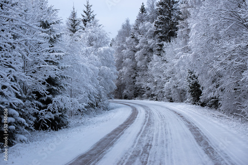 winter road in the forest