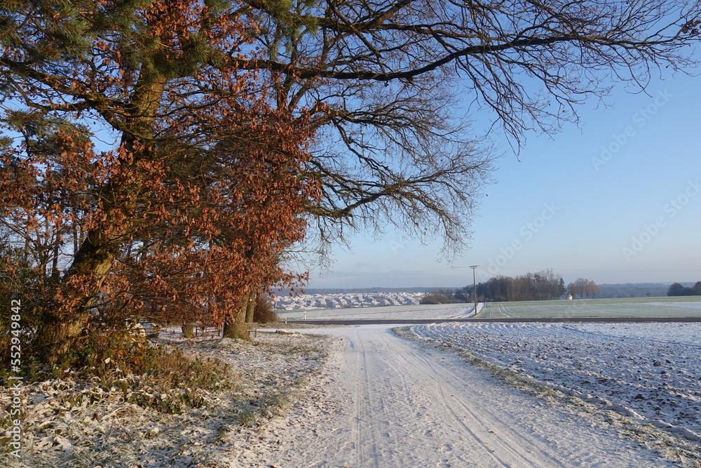 Winterlandschaft