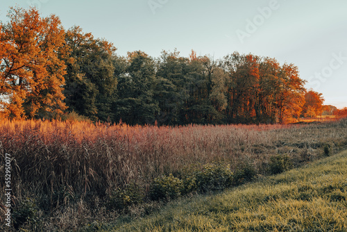 le marais aux couleurs de l'automne