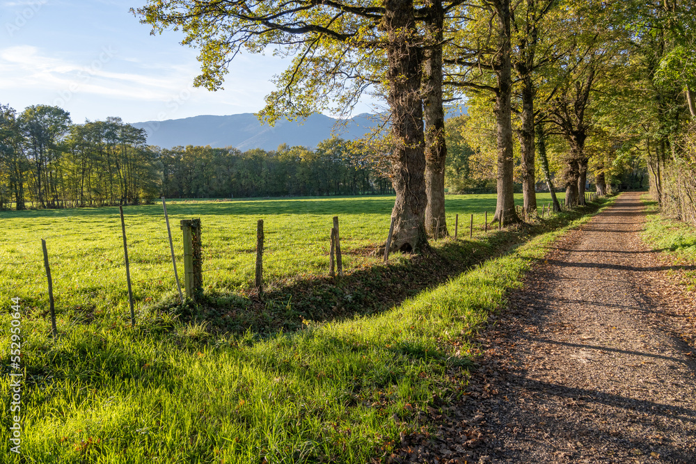 Chemin de campagne au pays de Gex Chemin de campagne au pays de Gex