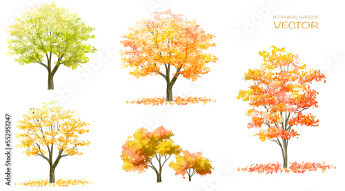 Vector watercolor blooming flower tree or forest side view isolated on white background for landscape and architecture drawing,elements for environment and garden,botanical for section in autumn