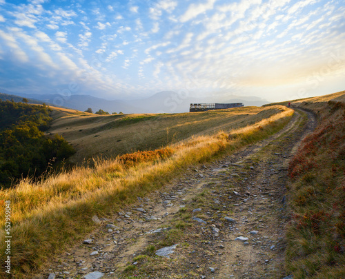 Carpathian Mountains  Ukraine  autumn landscape with cattle-breeding farm and country road.