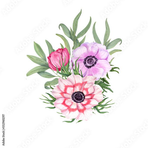 Anemones with eucalyptus isolated on a white background. Watercolor illustration. For Valentine day, wedding invitation, birthday and mother day cards, poster, textile design, cover, prints, pattern