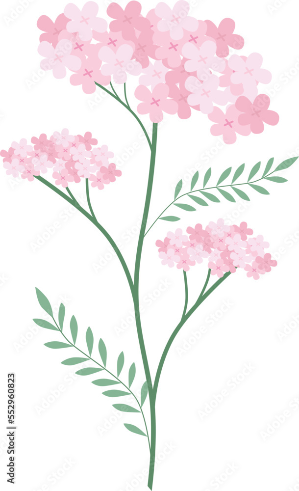 The bouquet of pink flowers is very beautiful. The bouquet of pink flowers is very beautiful.