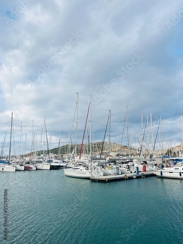 Sea marina with many yachts