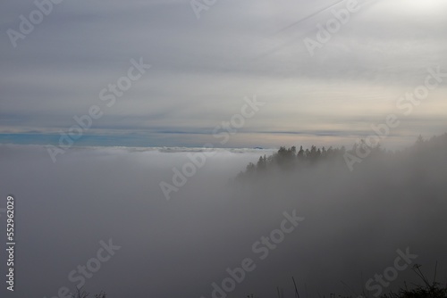 Forest rising above mist and clouds in the sky © kato08