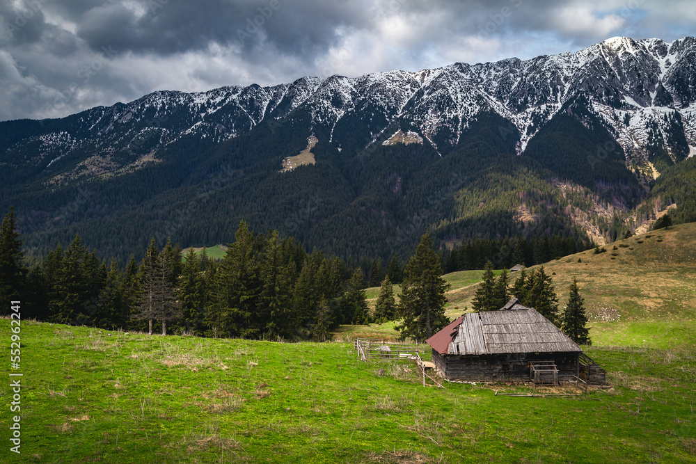 Alpine pasture landscape and snowy mountains in background, Transylvania, Romania