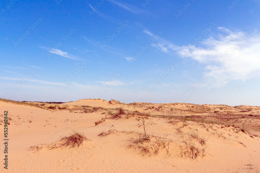 View of the Oleshkiv sands - the Ukrainian desert near the city of Kherson. Ukraine View of the Oleshkiv sands - the Ukrainian desert near the city of Kherson. Ukraine