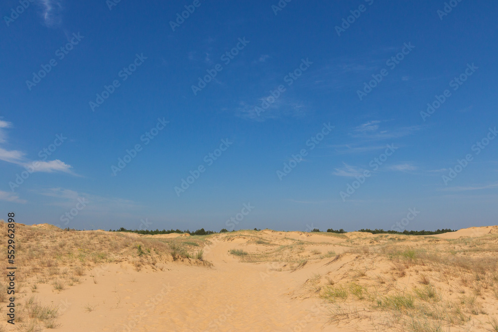 View of the Oleshkiv sands - the Ukrainian desert near the city of Kherson. Ukraine