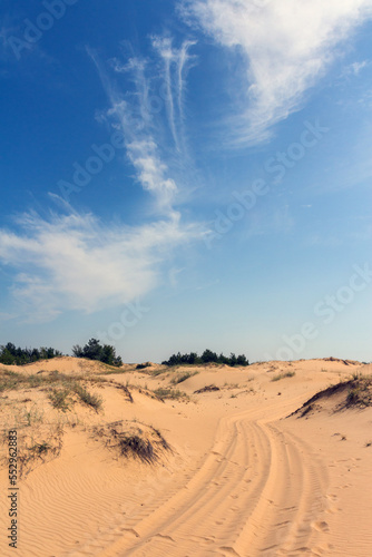 View of the Oleshkiv sands - the Ukrainian desert near the city of Kherson. Ukraine