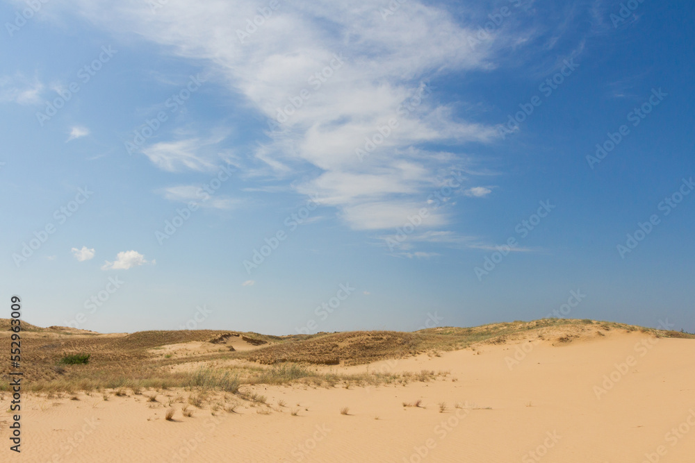 View of the Oleshkiv sands - the Ukrainian desert near the city of Kherson. Ukraine View of the Oleshkiv sands - the Ukrainian desert near the city of Kherson. Ukraine
