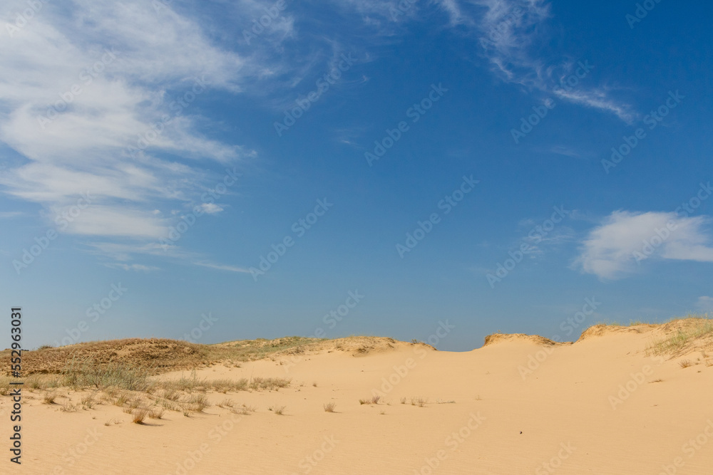 View of the Oleshkiv sands - the Ukrainian desert near the city of Kherson. Ukraine