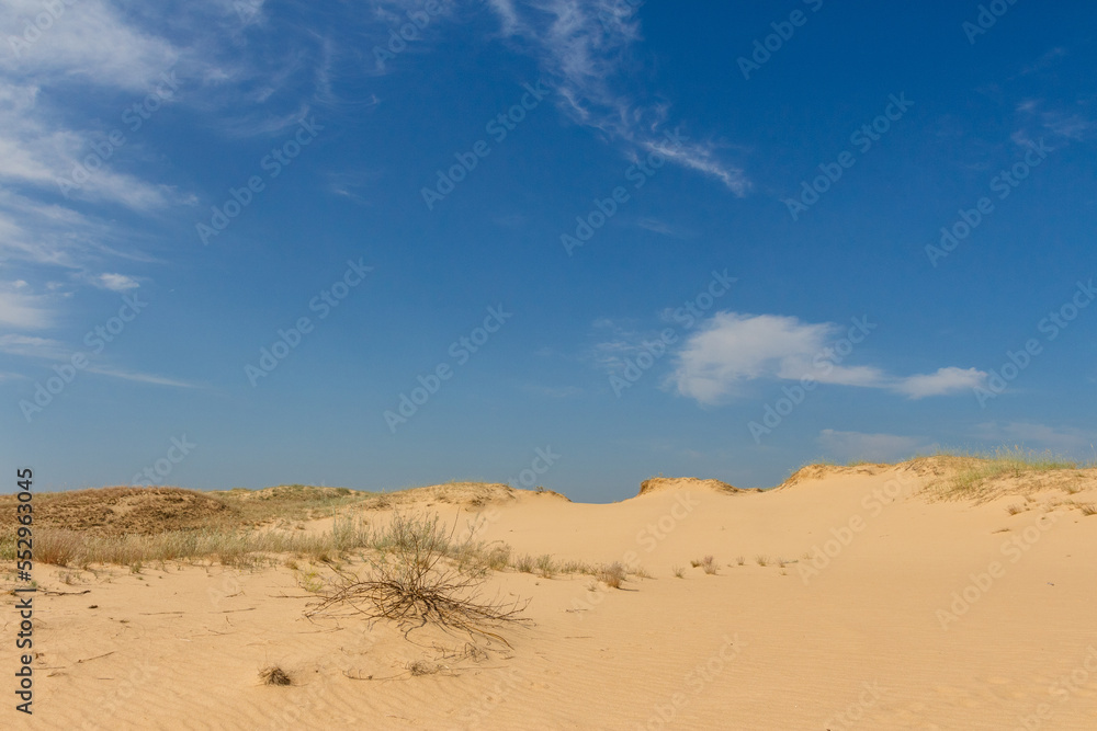 View of the Oleshkiv sands - the Ukrainian desert near the city of Kherson. Ukraine