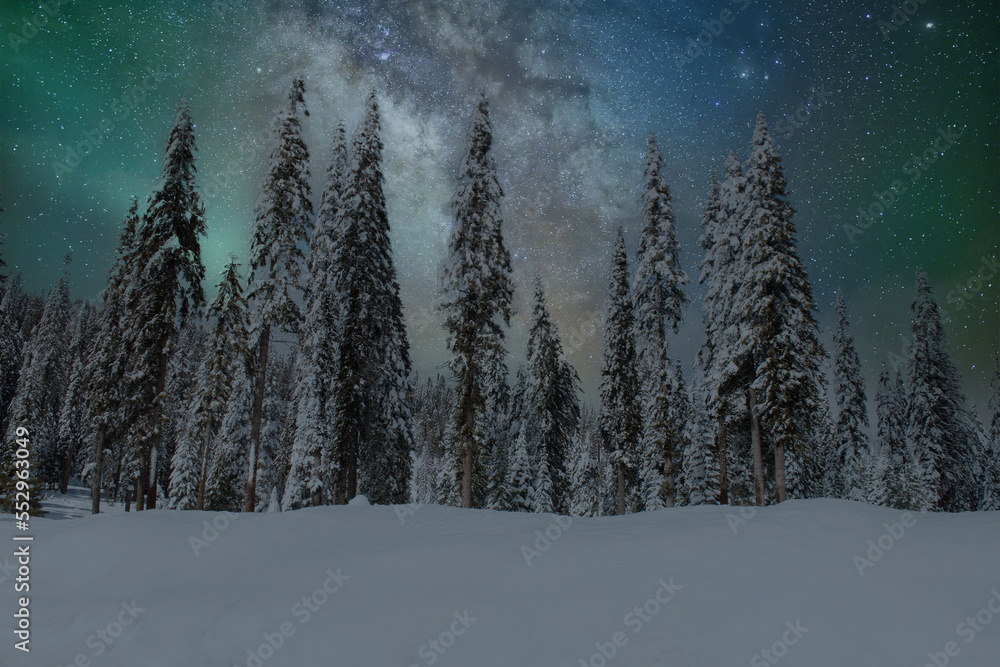 winter forest in the night with northern lights and milky way