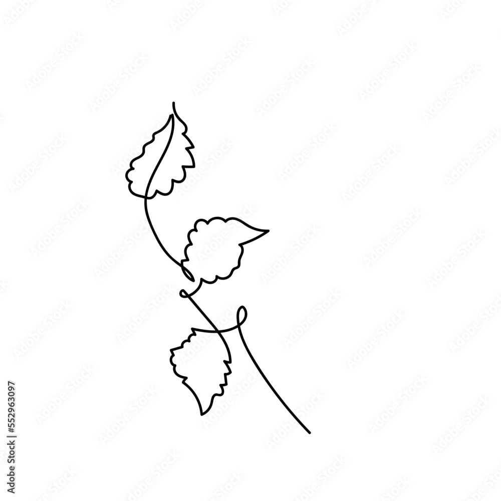 Fototapeta premium abstract leaf single line hand drawn element