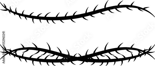 Vector image of a vine with thorns. barbed wire.