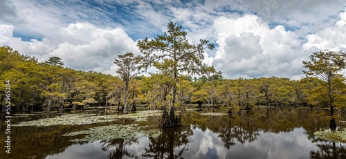 The magical landscape of the Caddo Lake, Texas photo