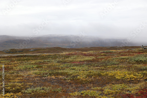 Tundra landscape near the Greenland town of Kangerlussuaq, Greenland, Denmark   © bummi100