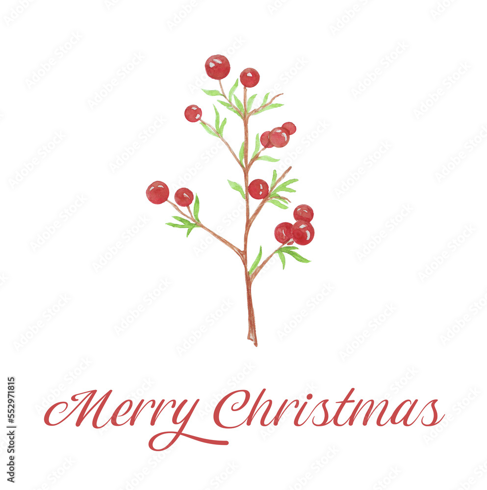 watercolor image of a Christmas branch with berries, a card on a white background, a symbol of the new year, wish, sticker, tag
