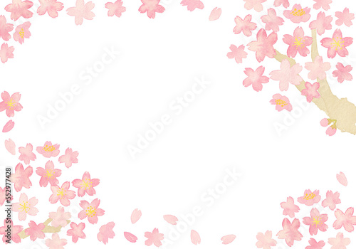 水彩のシンプルな桜背景