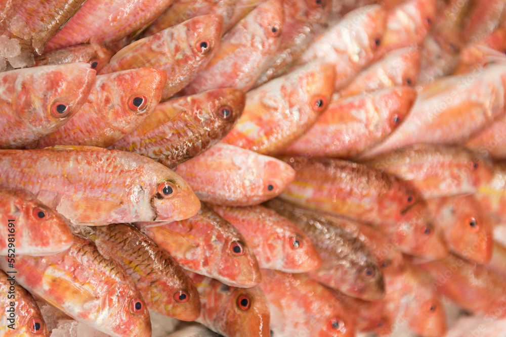 Close-up barbatus fish on the market place Close-up barbatus fish on the market place
