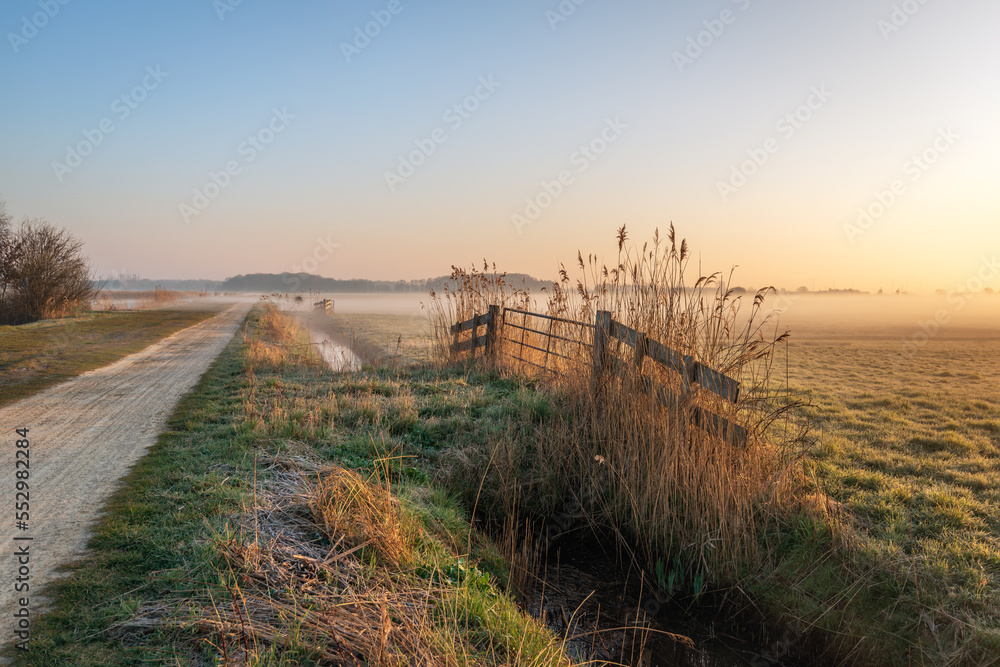 Morning mist in a wintry Dutch polder landscape. The sun is just rising and the grass is still frosted. In the foreground is a gate and yellowed reeds contrast like silhouettes with the sky.