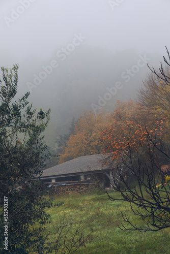 Misty morning in the countr...