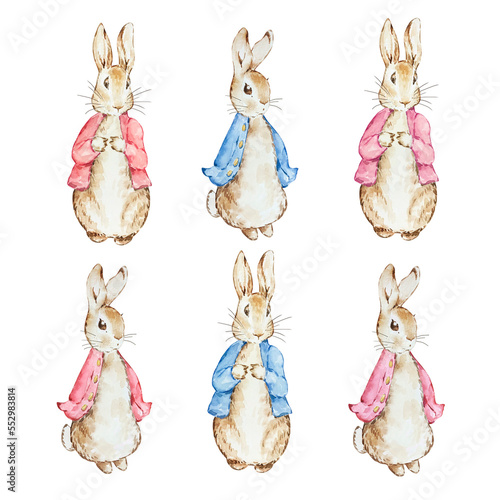 Set of Watercolor cute Peter Rabbits in red and blue jacket © SvetaArt