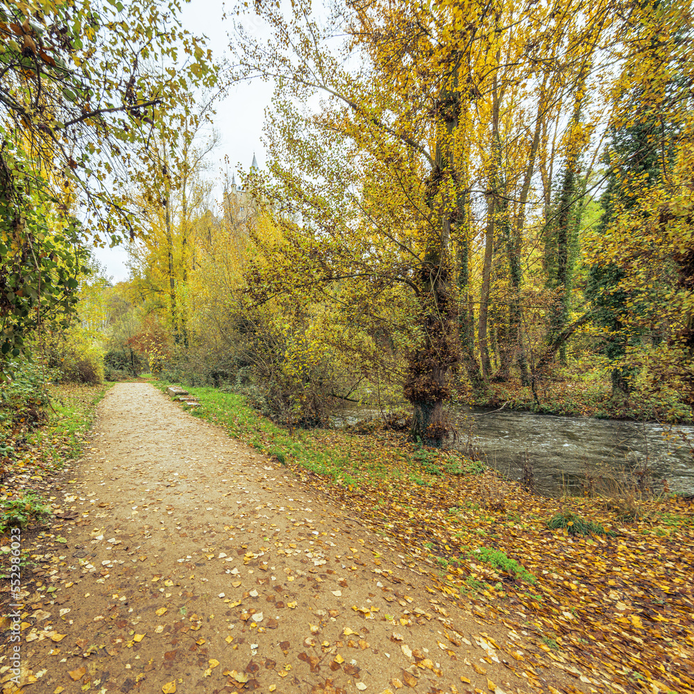 path in park with autumn leaves and river