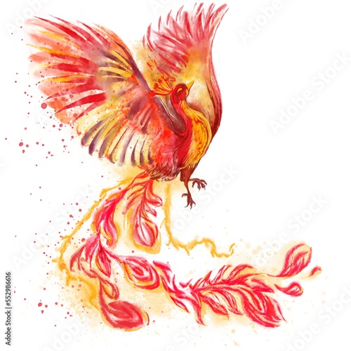 Phoenix digital watercolor illustration on the white background