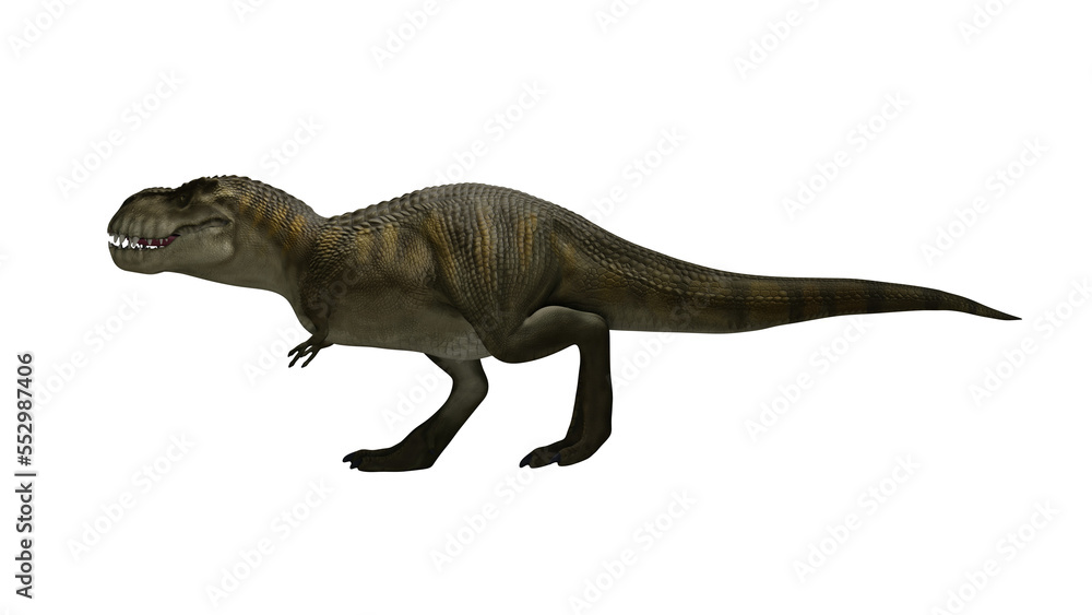 Fototapeta premium Dinosaur Trex walking on render image